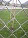 DSCN3274