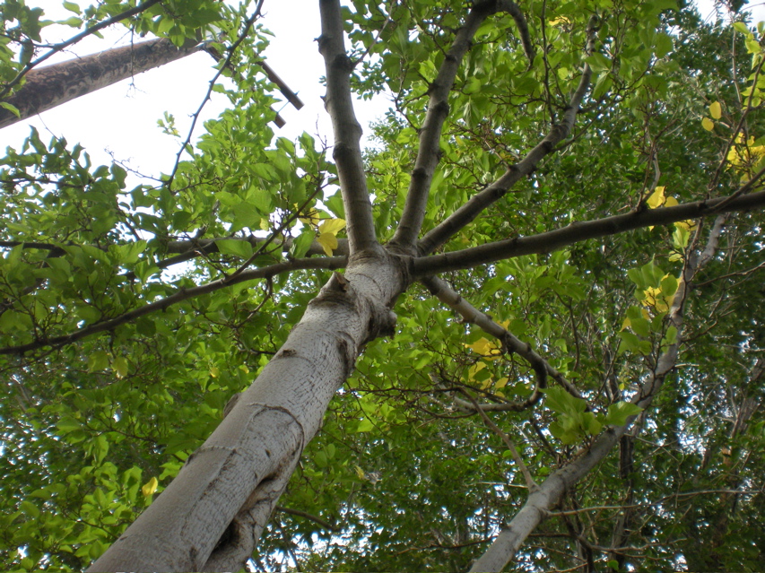 DSCN2638