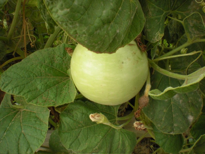 DSCN2651