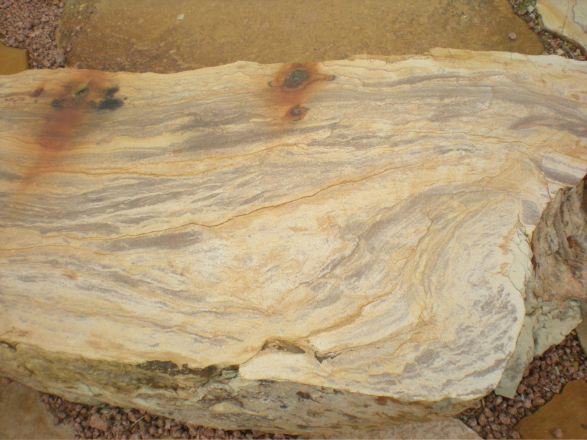 DSCN2652
