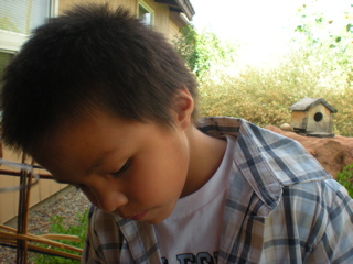 DSCN2318