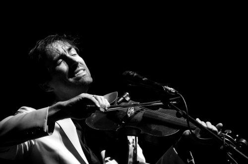 AndrewBird